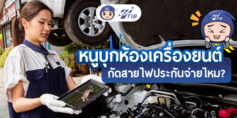 หนูกัดสายไฟรถุ ทำยังไง