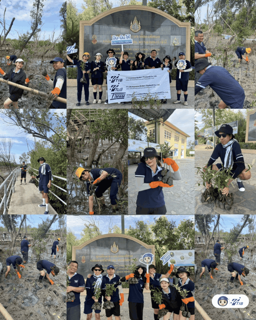ภาพรวมกิจกรรมปลูกป่าชายเลน ณ ศูนย์ศึกษาธรรมชาติกองทัพบก (บางปู) จังหวัดสมุทรปราการ